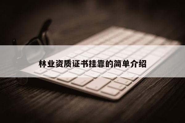 林業(yè)資質證書掛靠的簡單介紹